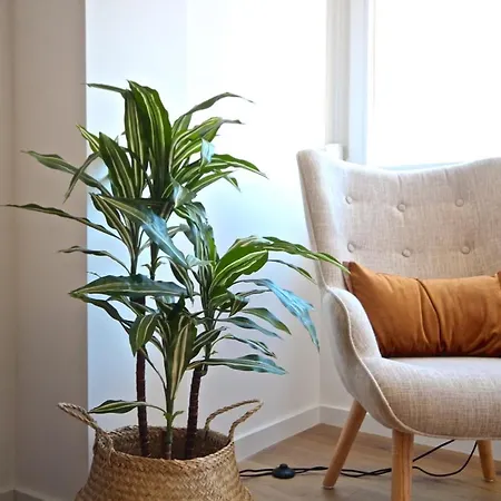 Akicity Charm Apartment Lisbon